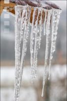 Eisregen 2