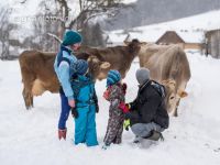 Junge Bauernfamilie 4