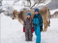 Kinder mit Braunviehkuh 1