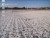 Dammkulturen Winterende 16