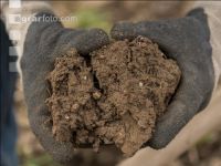 Compresse soil 2