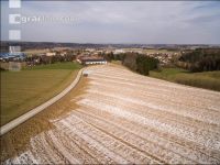 Branntkalk im Frühjahr 20