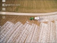 Branntkalk im Frühjahr 19