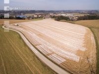 Branntkalk im Frühjahr 17
