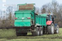 Kompost auf WGerste  6