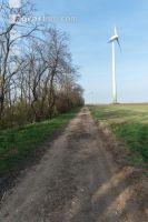 Windräder auf Ackerland 6