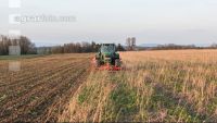 Zwischenfrucht grubbern 16