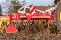Zwischenfrucht grubbern 14