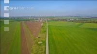 Farmland 9