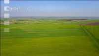 Farmland 7