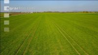 Farmland 6