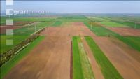 Farmland 4