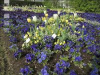Landesgartenschau Kremmsünster 4
