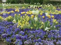Landesgartenschau Kremmsünster 1