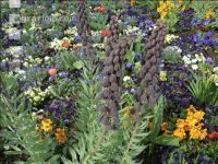 Landesgartenschau Kremmsünster 5