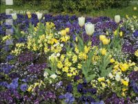 Landesgartenschau Kremmsünster 7