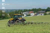 Grünfutter zetten 17