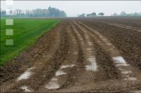 Wheel tracks slurry wagon 2