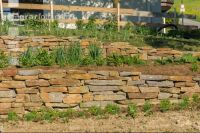 Mulch layer garden 2