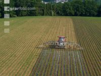 Maize slurry 115