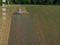 Maize slurry 113
