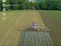Maize slurry 111