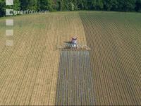 Maize slurry 109