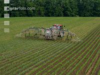 Maize slurry 106