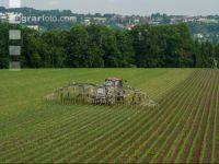 Maize slurry 105