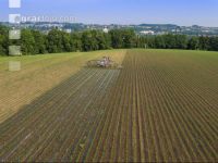 Maize slurry 101