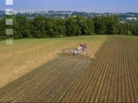 Maize slurry 100
