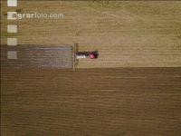 Maize slurry 96