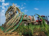 Maize slurry 93