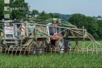 Maize slurry 90