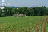 Maize slurry 86