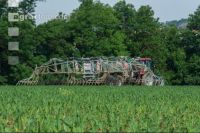 Maize slurry 77