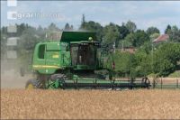 Erbsen Ernte 27