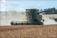 Erbsen Ernte 20