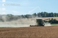 Erbsen Ernte 18