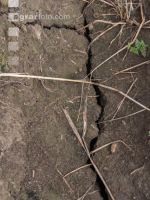 Cracks in the ground 5
