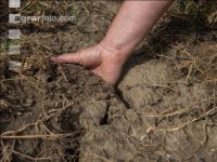 Cracks in the ground 3