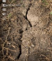 Cracks in the ground 2
