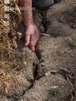 Cracks in the ground 1