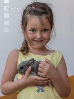 Kinder am Hof 43