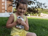 Children on the farm 42