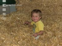 Kinder am Hof 41