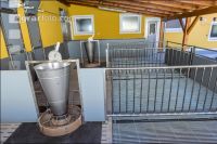 Tierwohlstall in Bau 2