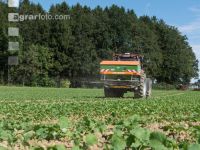 Raps Herbstdüngung 18