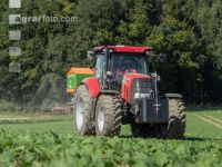 Raps Herbstdüngung 4