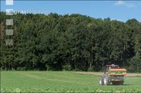 Raps Herbstdüngung 9